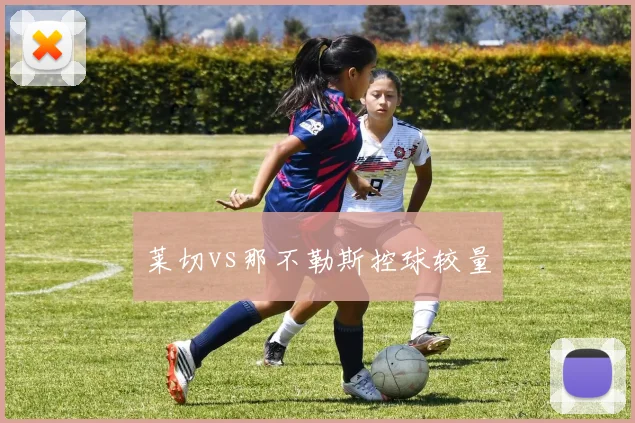 莱切vs那不勒斯控球较量
