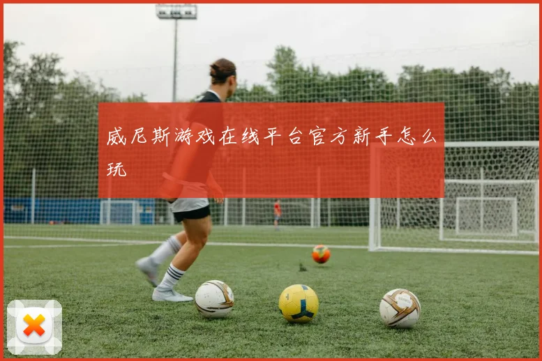 威尼斯游戏在线平台官方新手怎么玩